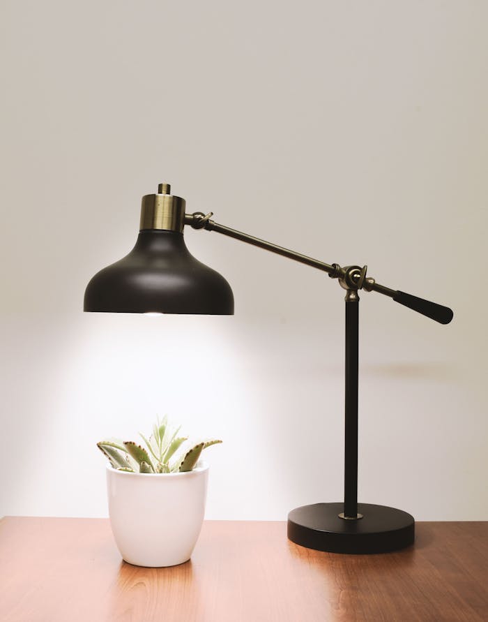 about-us Minimalistic desk lamp illuminating a succulent on a wooden table, perfect for interior design inspiration.